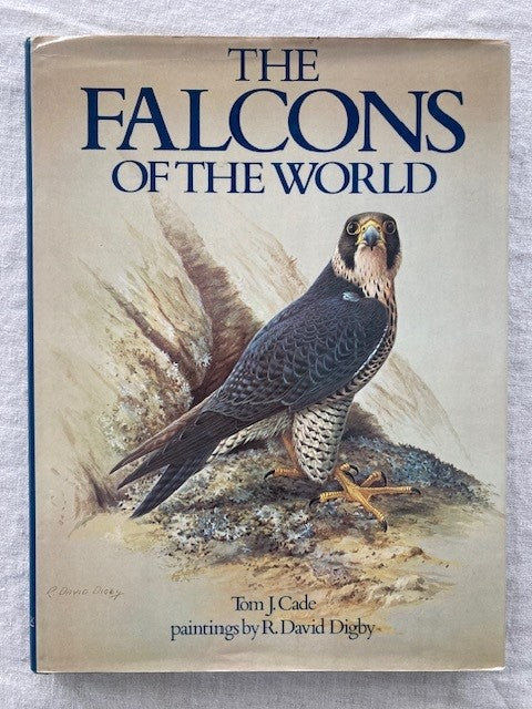 Hawks, Falcons, Eagles – Buteo Books