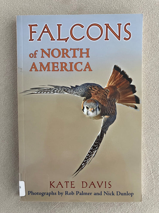 Falcons of North America