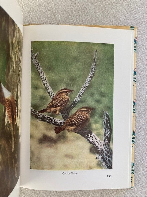 Familiar Birds of the Pacific Southwest