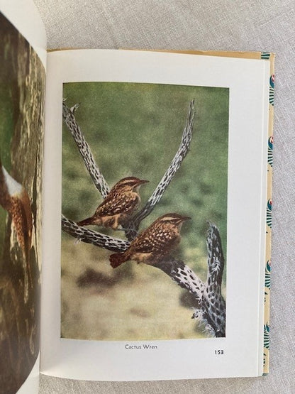 Familiar Birds of the Pacific Southwest
