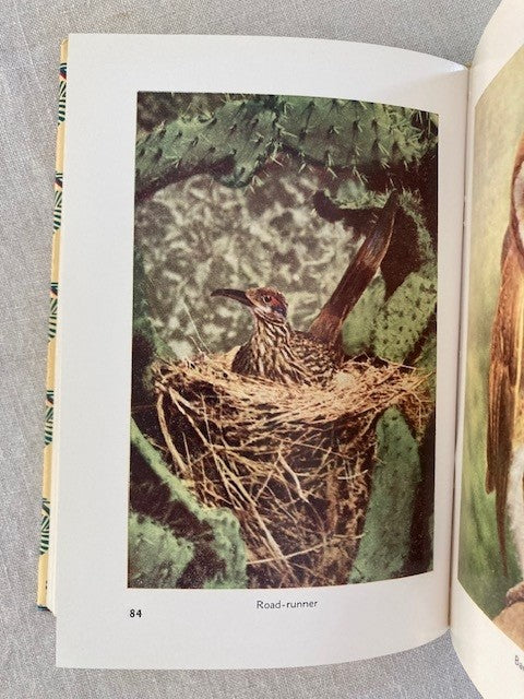 Familiar Birds of the Pacific Southwest