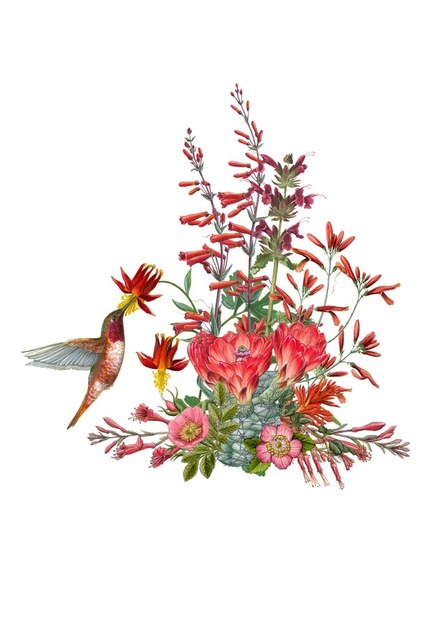 Notecard Set: Pollinators
