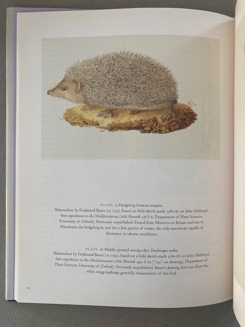 Ferdinand Bauer: The Nature of Discovery