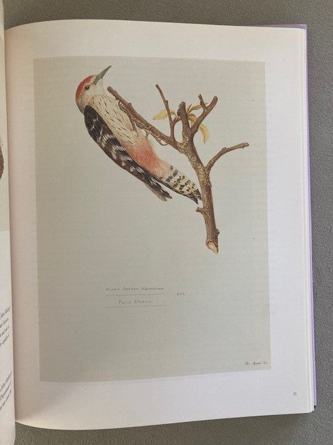Ferdinand Bauer: The Nature of Discovery