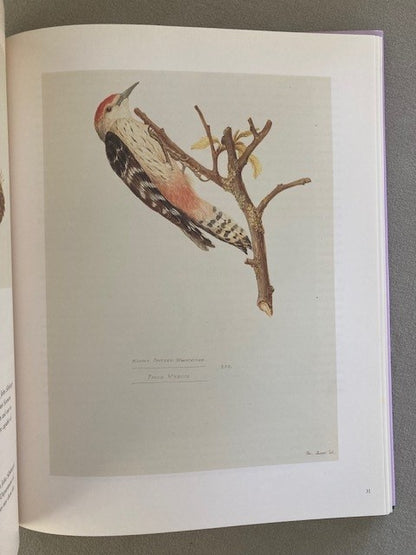 Ferdinand Bauer: The Nature of Discovery
