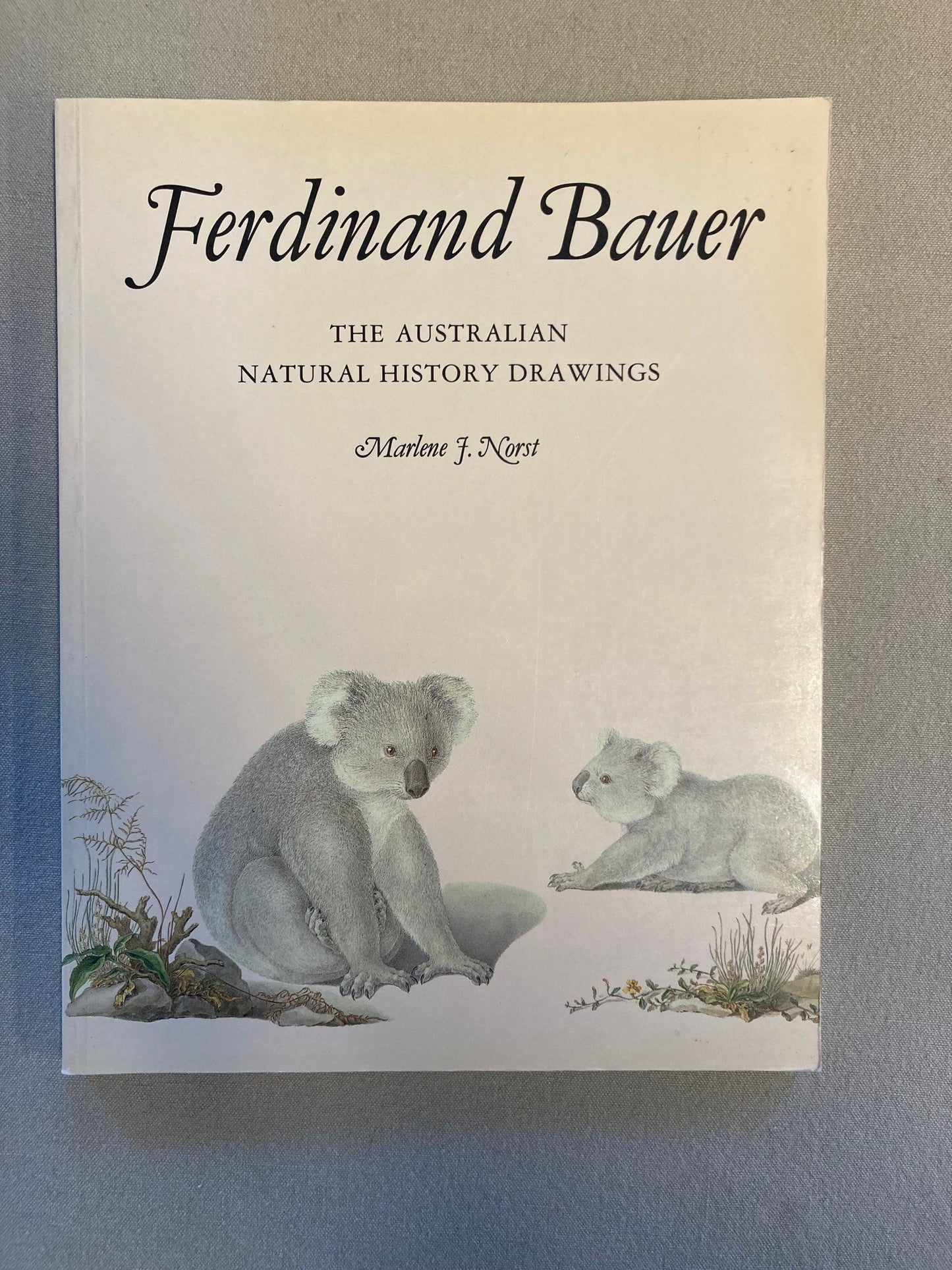 Ferdinand Bauer: The Australian Natural History Drawings
