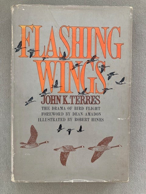 Flashing Wings: The Drama of Bird Flight