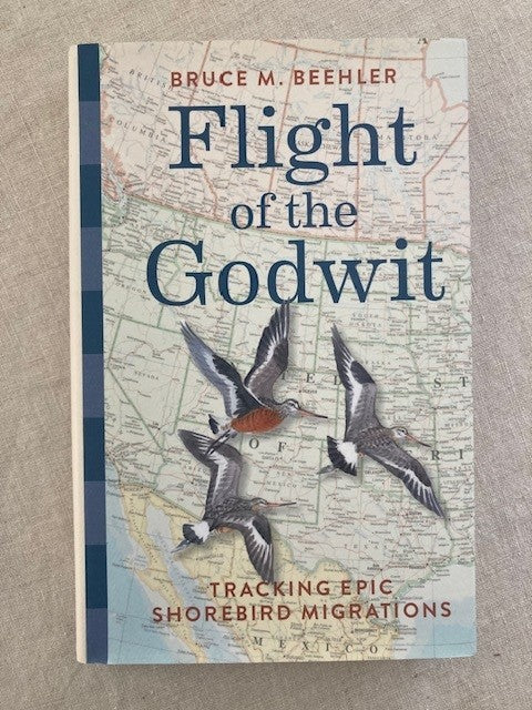 Flight of the Godwit: Tracking Epic Shorebird Migrations [used]