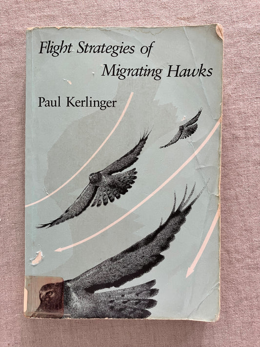 Flight Strategies of Migrating Hawks