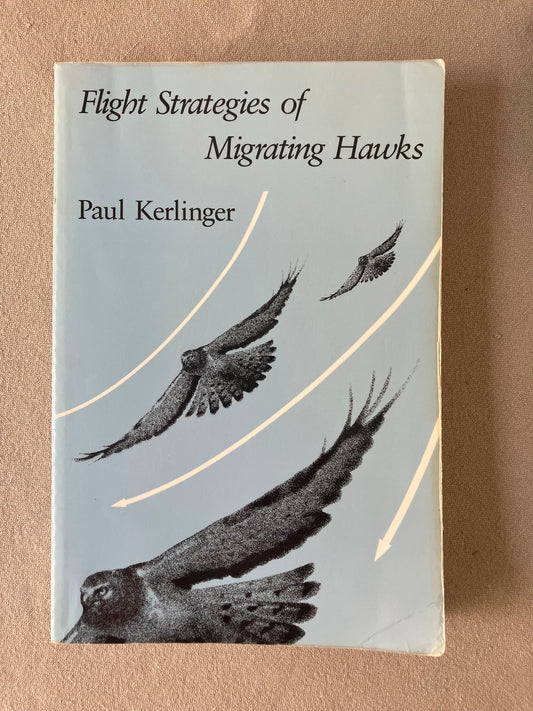 Flight Strategies of Migrating Hawks
