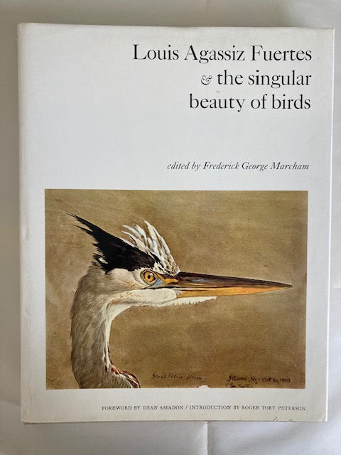 Louis Agassiz Fuertes and the Singular Beauty of Birds
