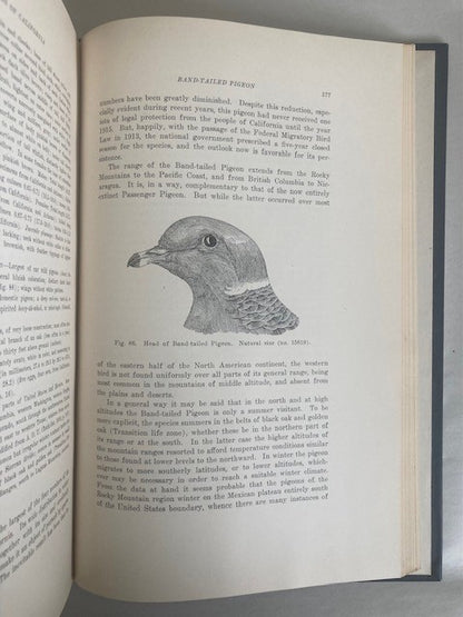 The Game Birds of California