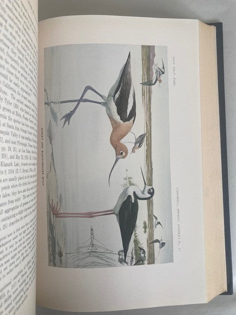 The Game Birds of California