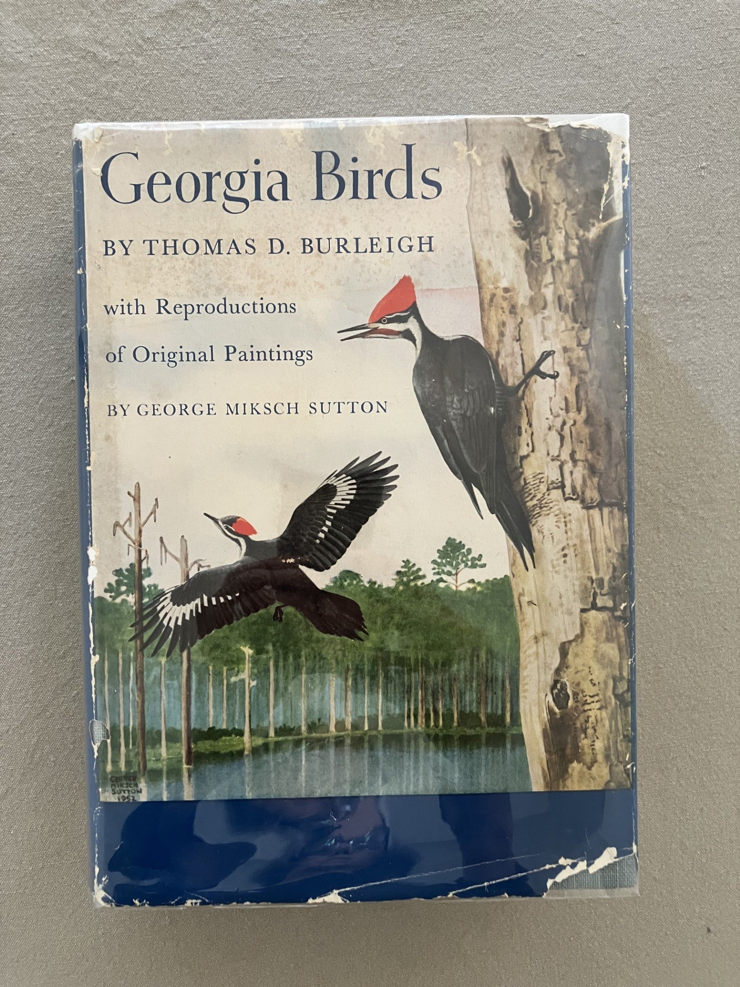 Georgia Birds