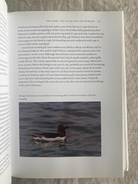 Gower (New Naturalist Number 99)