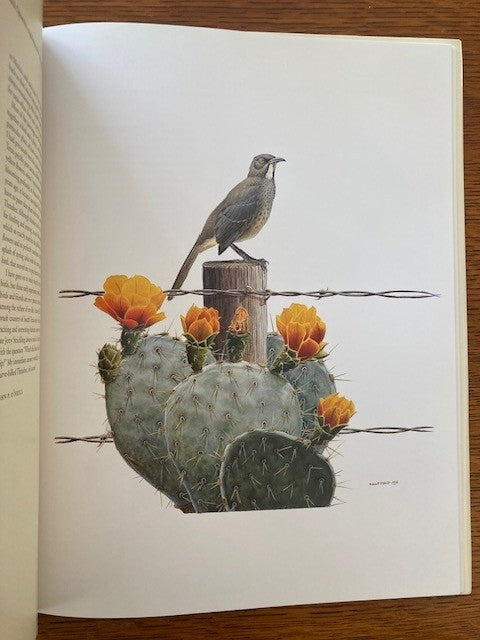 Great Texas Birds