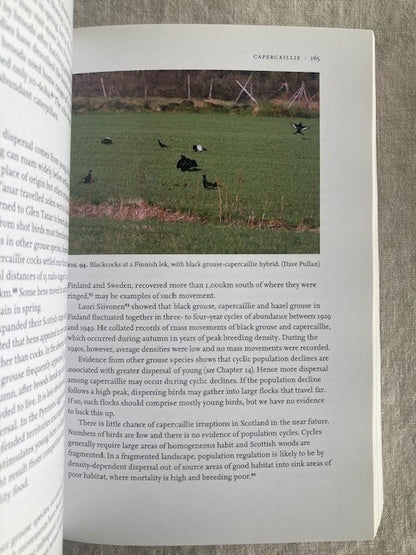 Grouse: The Natural History of British and Irish Species [PB] New Naturalist 107