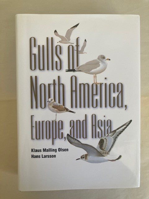 Gulls: Of North America, Europe, and Asia