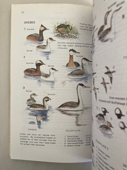 Handbook of California Birds, Third Edition