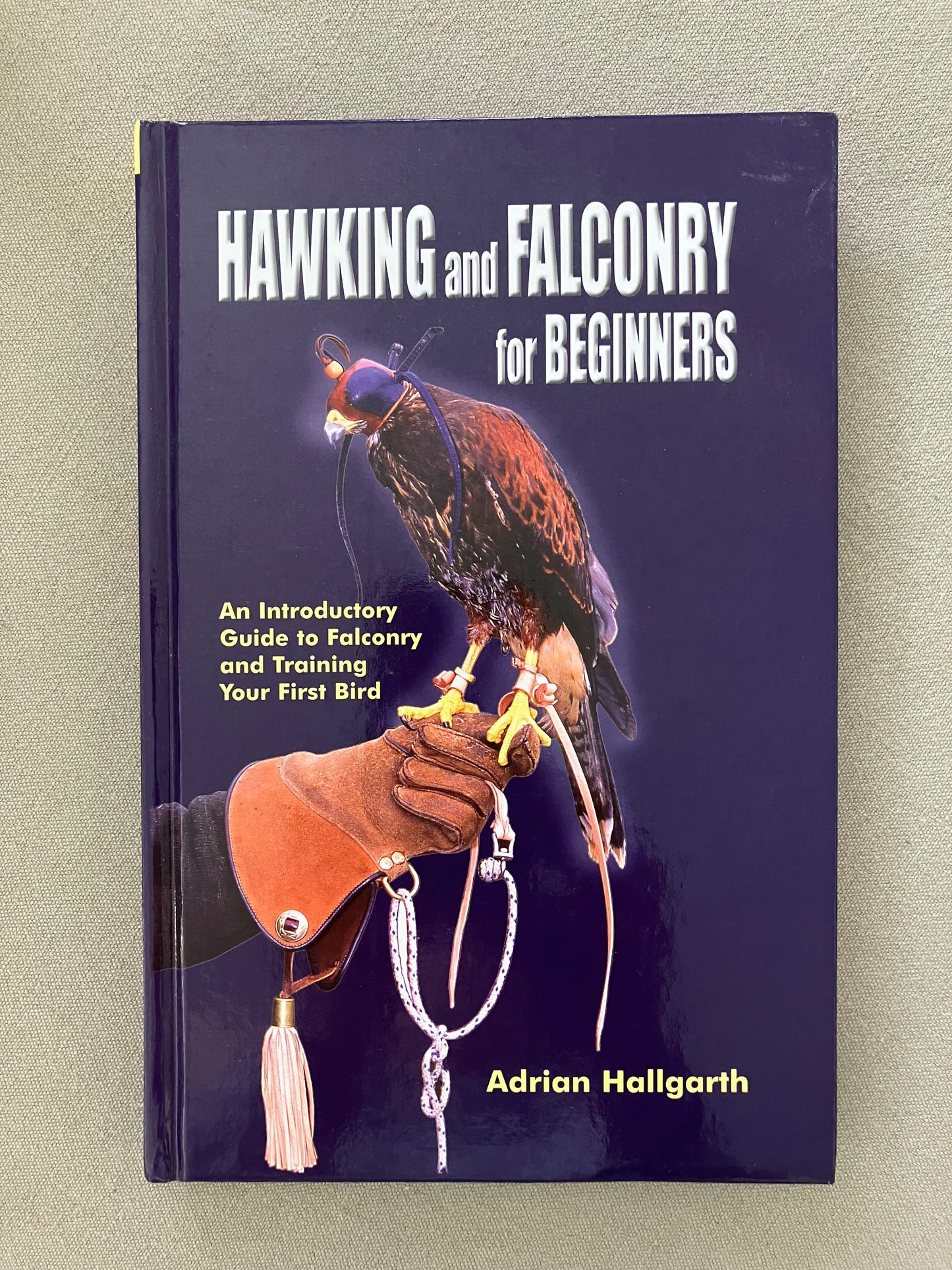 Hawking & Falconry for Beginners