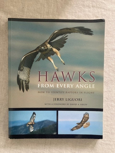 Hawks from Every Angle: How to Identify Raptors in Flight