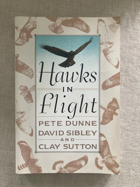 Hawks in Flight