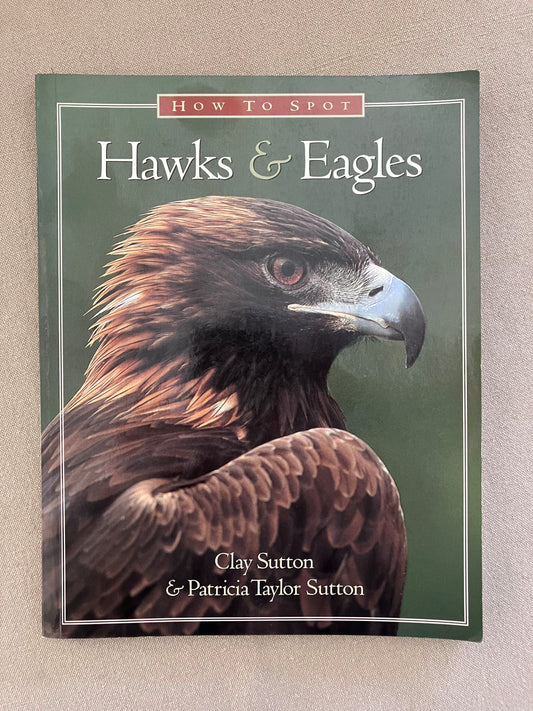 How to Spot Hawks & Eagles