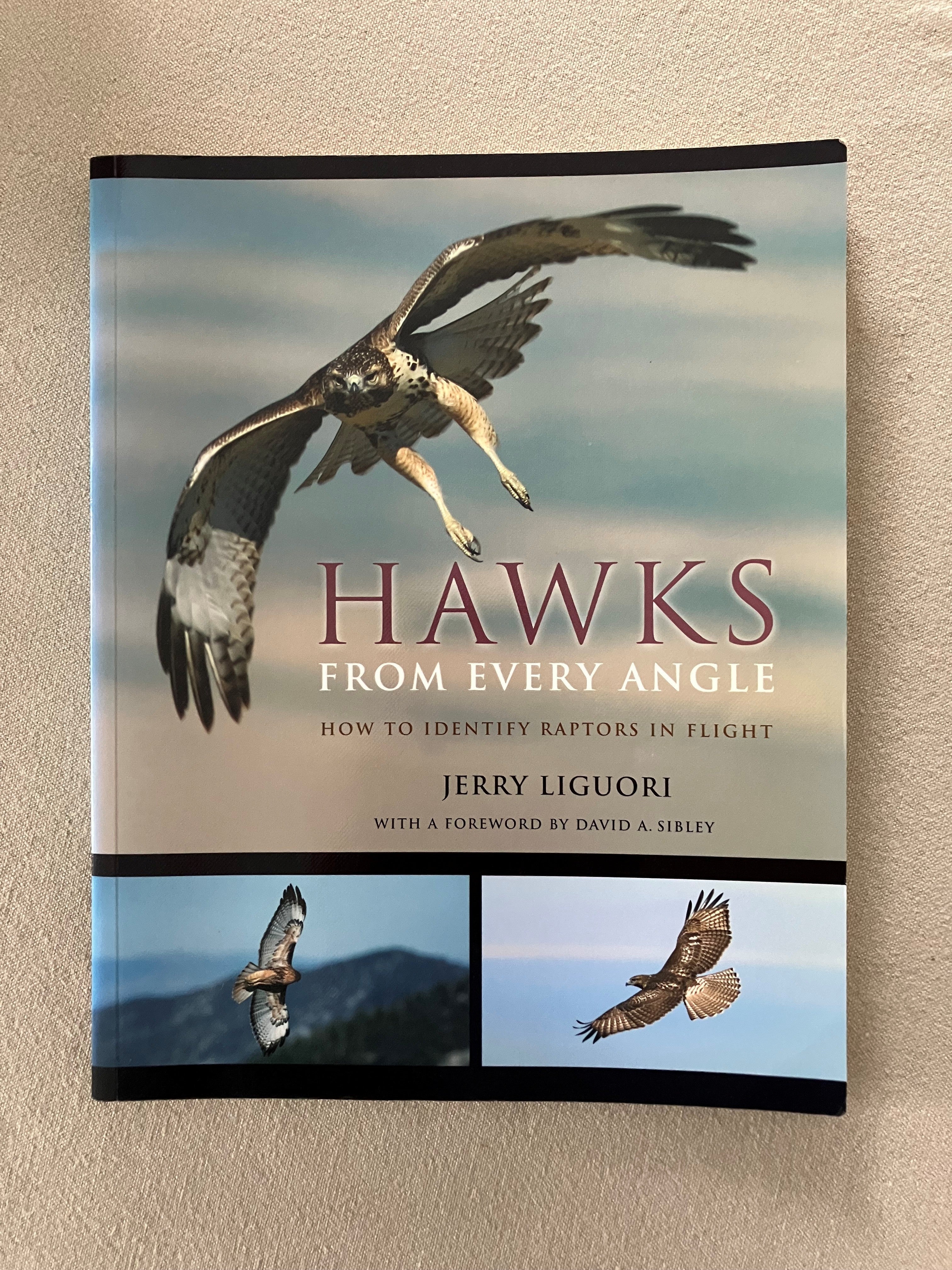 Hawks from Every Angle: How to Identify Raptors in Flight – Buteo Books