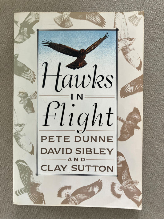 Hawks in Flight