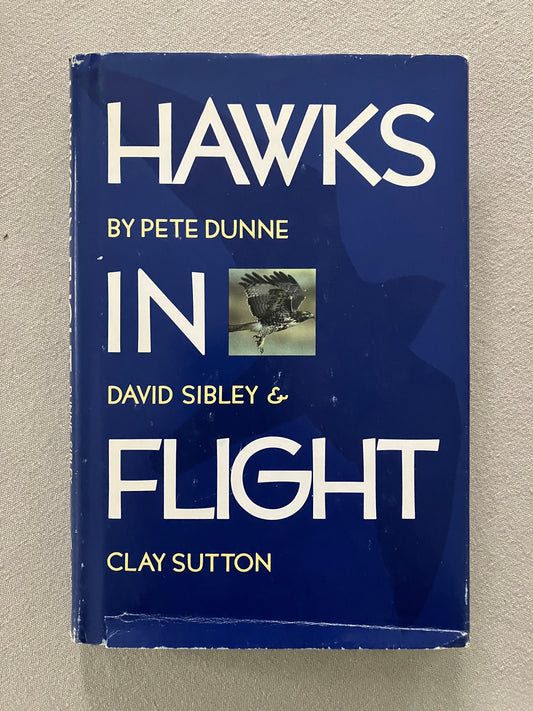 Hawks in Flight