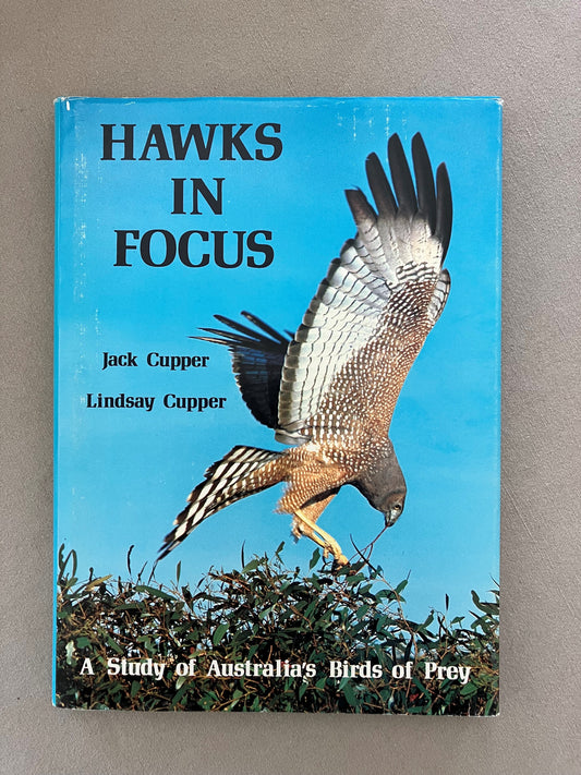 Hawks in Focus: A Study of Australia's Birds of Prey