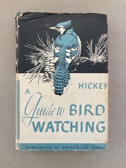 A Guide to Bird Watching