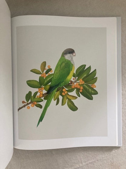 Homage to the Bird