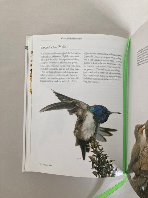 Hummingbirds: A Life-size Guide to Every Species
