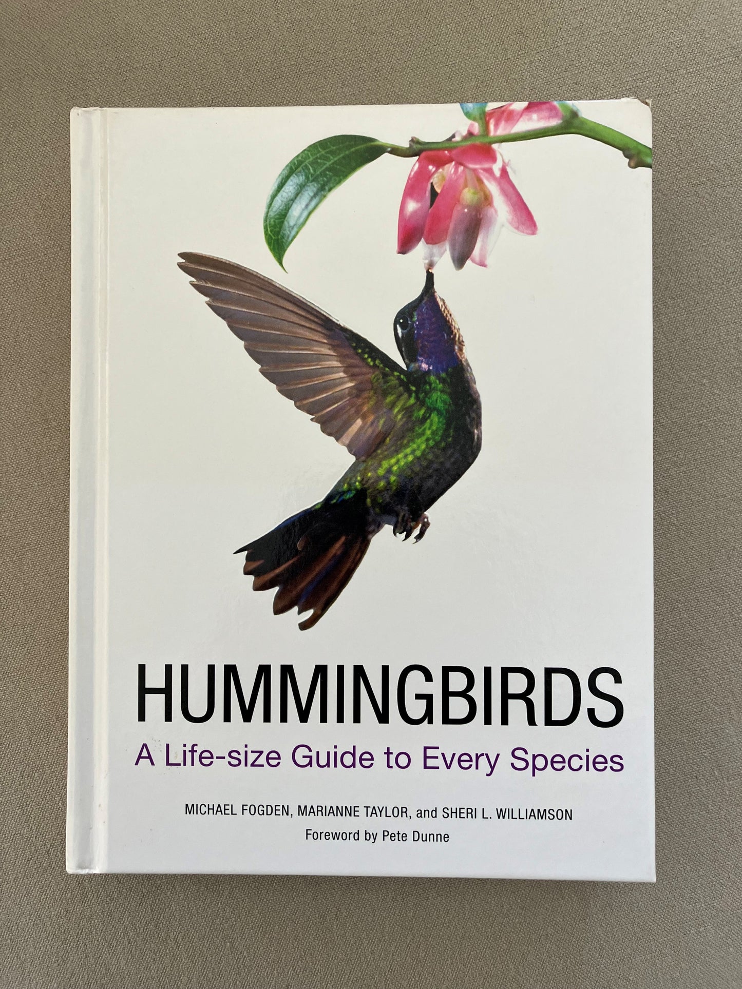 Hummingbirds: A Life-size Guide to Every Species