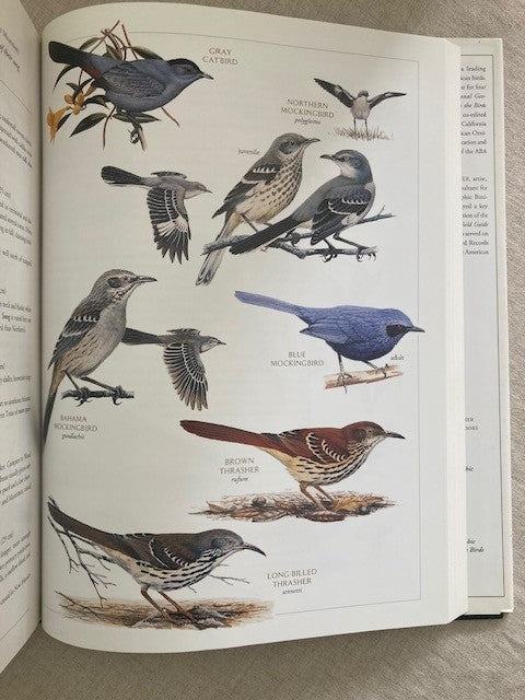 National Geographic Illustrated Birds of North America, Folio Edition