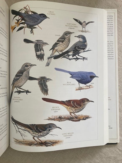 National Geographic Illustrated Birds of North America, Folio Edition