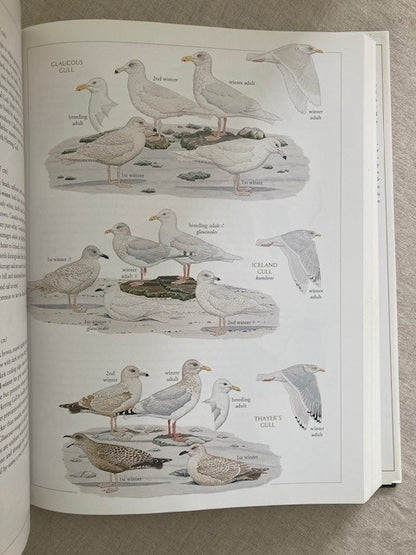 National Geographic Illustrated Birds of North America, Folio Edition
