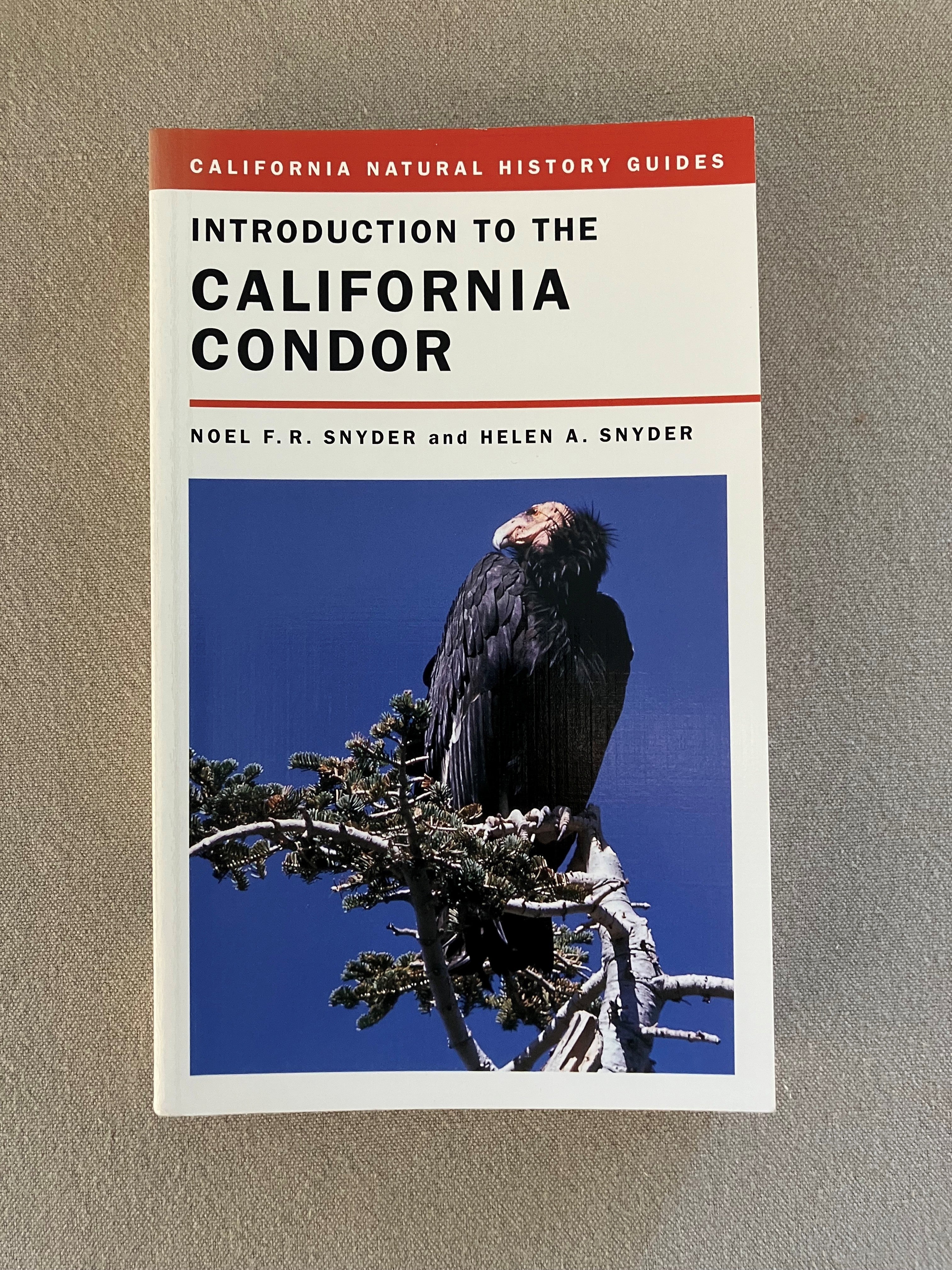 Introduction to the California Condor – Buteo Books
