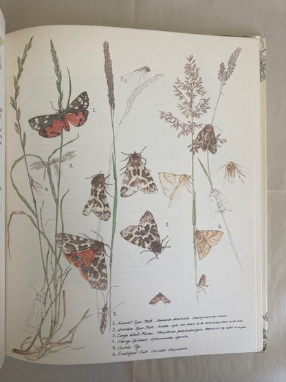 Janet Marsh's Nature Diary
