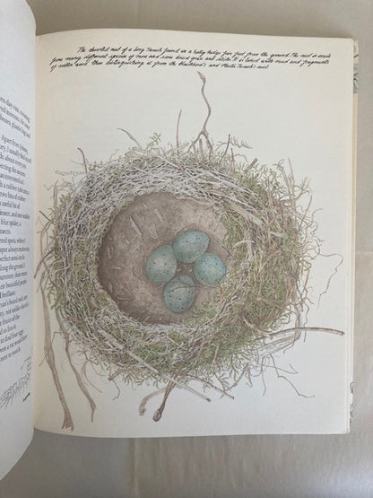 Janet Marsh's Nature Diary