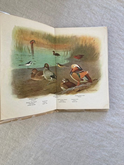 Japanese Birds (Tourist Library 35)