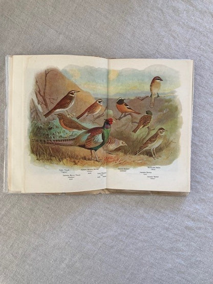 Japanese Birds (Tourist Library 35)