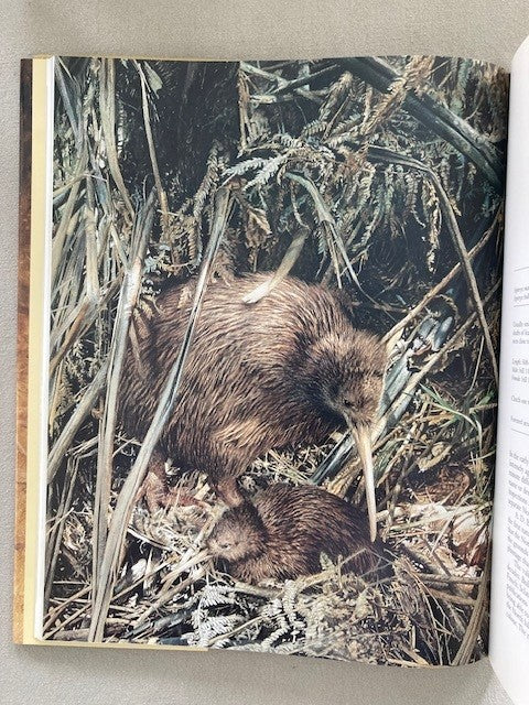 Kiwis: A Monograph of the Family Apterygidae