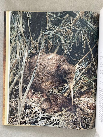 Kiwis: A Monograph of the Family Apterygidae