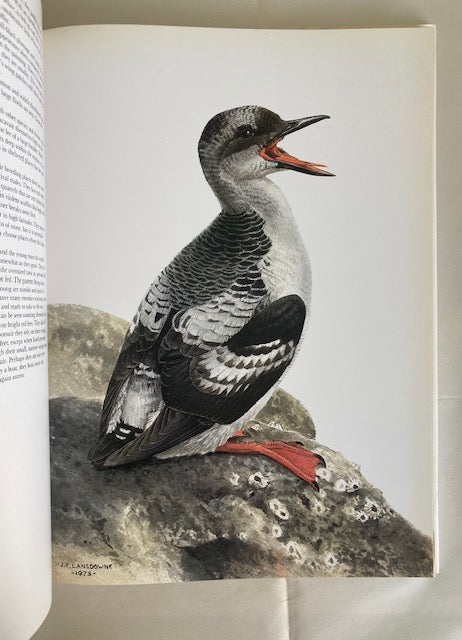 Birds of the West Coast: Volume 1