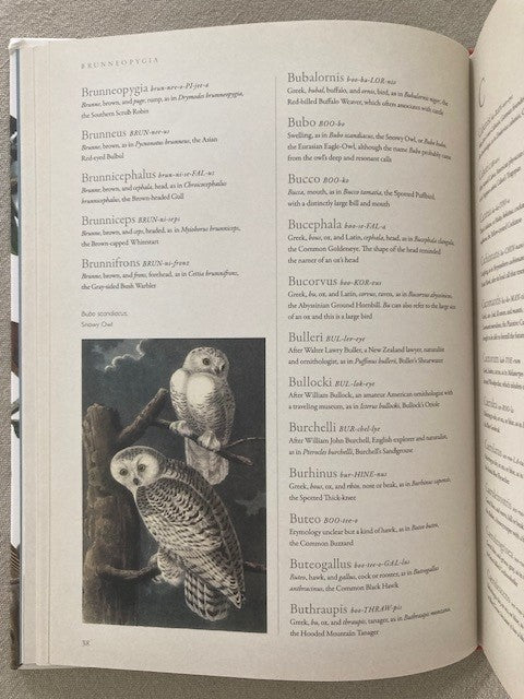 Latin for Bird Lovers: Over 3,000 Bird Names Explored and Explained