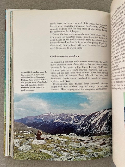 The Life of the Mountains (Our Living World of Nature)