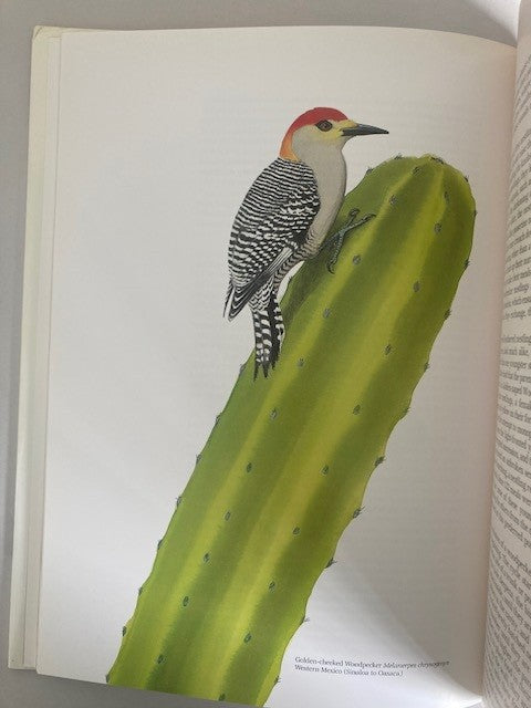 Life of the Woodpecker