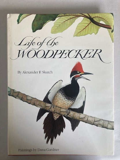 Life of the Woodpecker